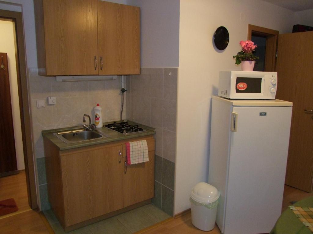 Rajna Apartmanhaz Bogacs Room photo